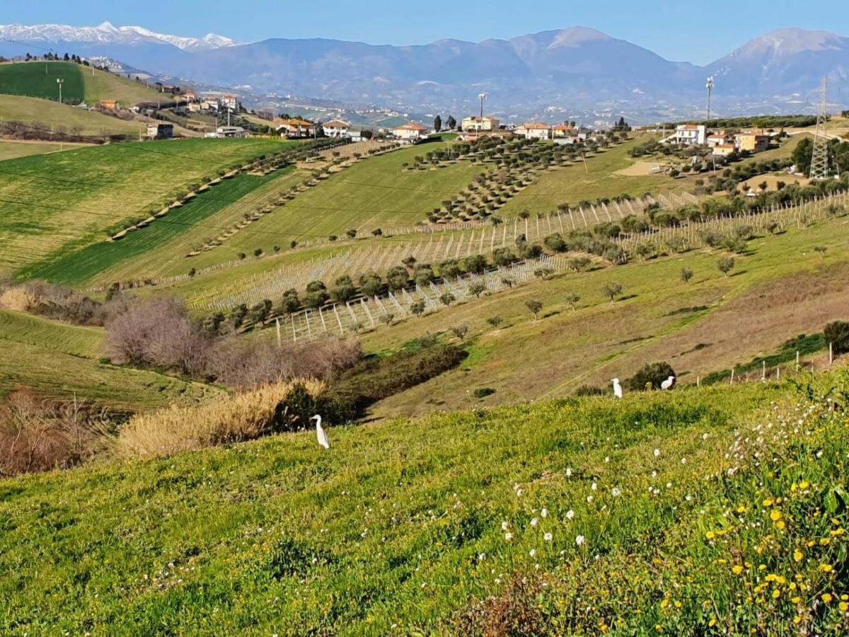 B&B Gli Amici Del Tubarello Roseto Degli Abruzzi Exterior photo