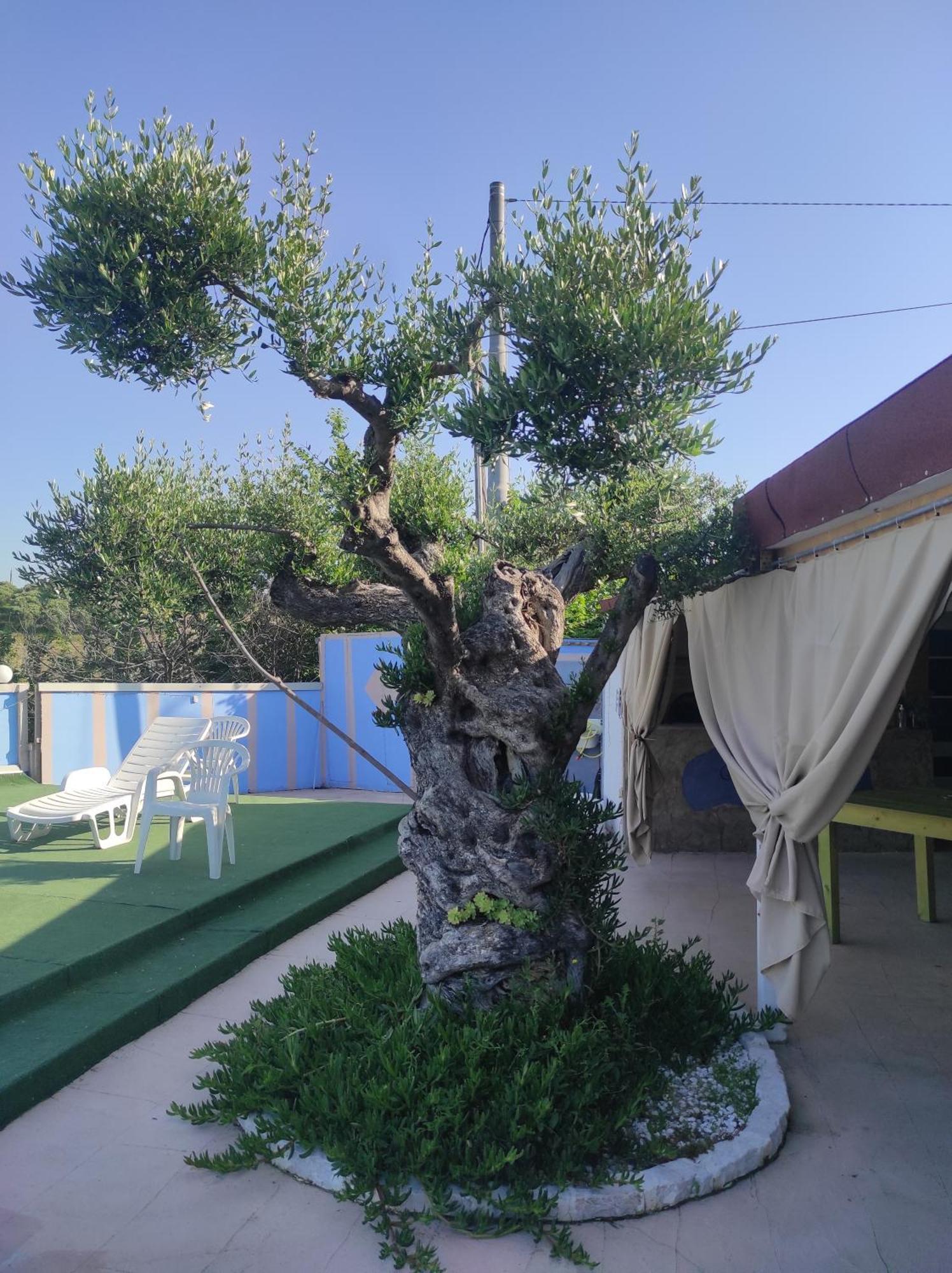 B&B Gli Amici Del Tubarello Roseto Degli Abruzzi Exterior photo